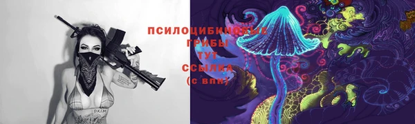 твердый Бугульма