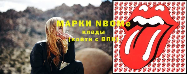 мет Бородино