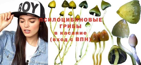 мет Бородино